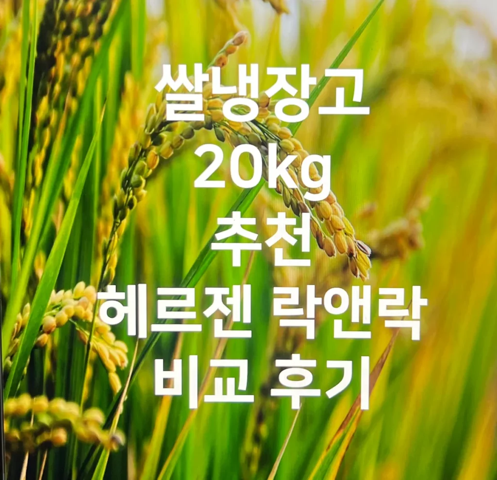쌀냉장고-20kg-추천-가격-헤르젠-락앤락-비교-후기-이미지